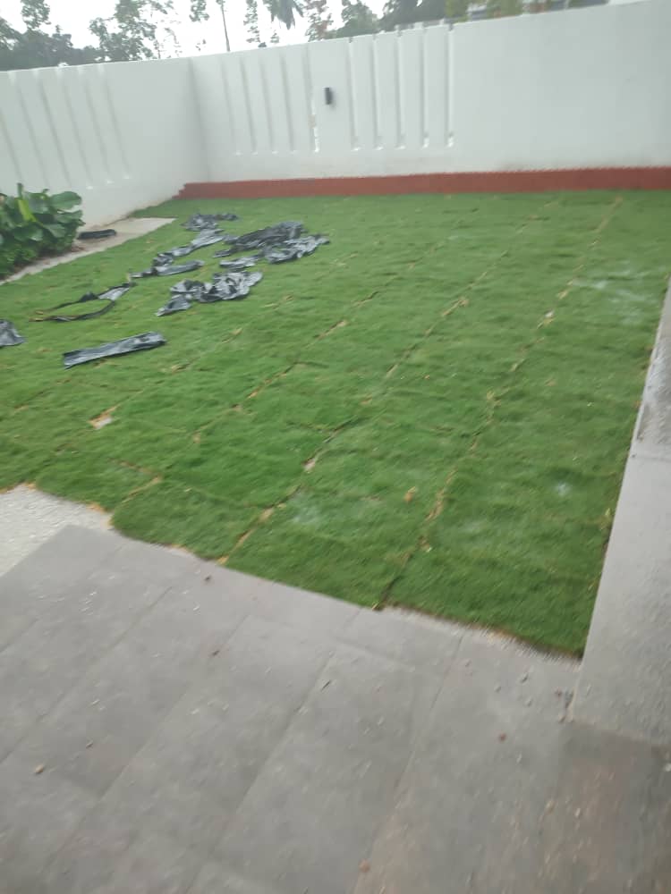 Servis Tanam Rumput-HJ Landscape