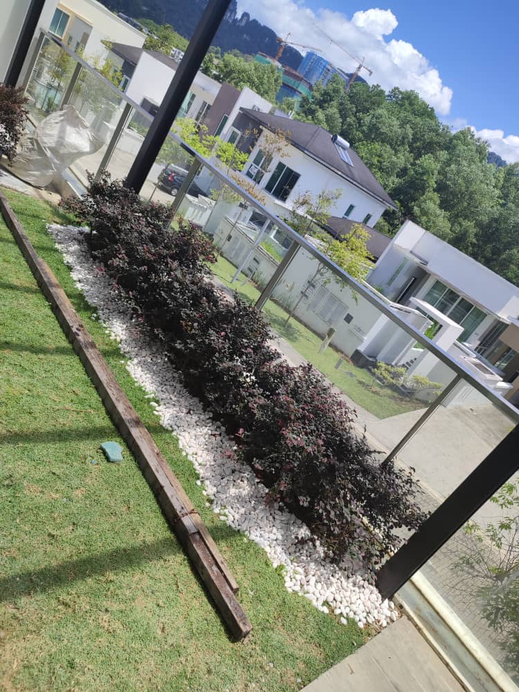 Servis Tanam Rumput-HJ Landscape